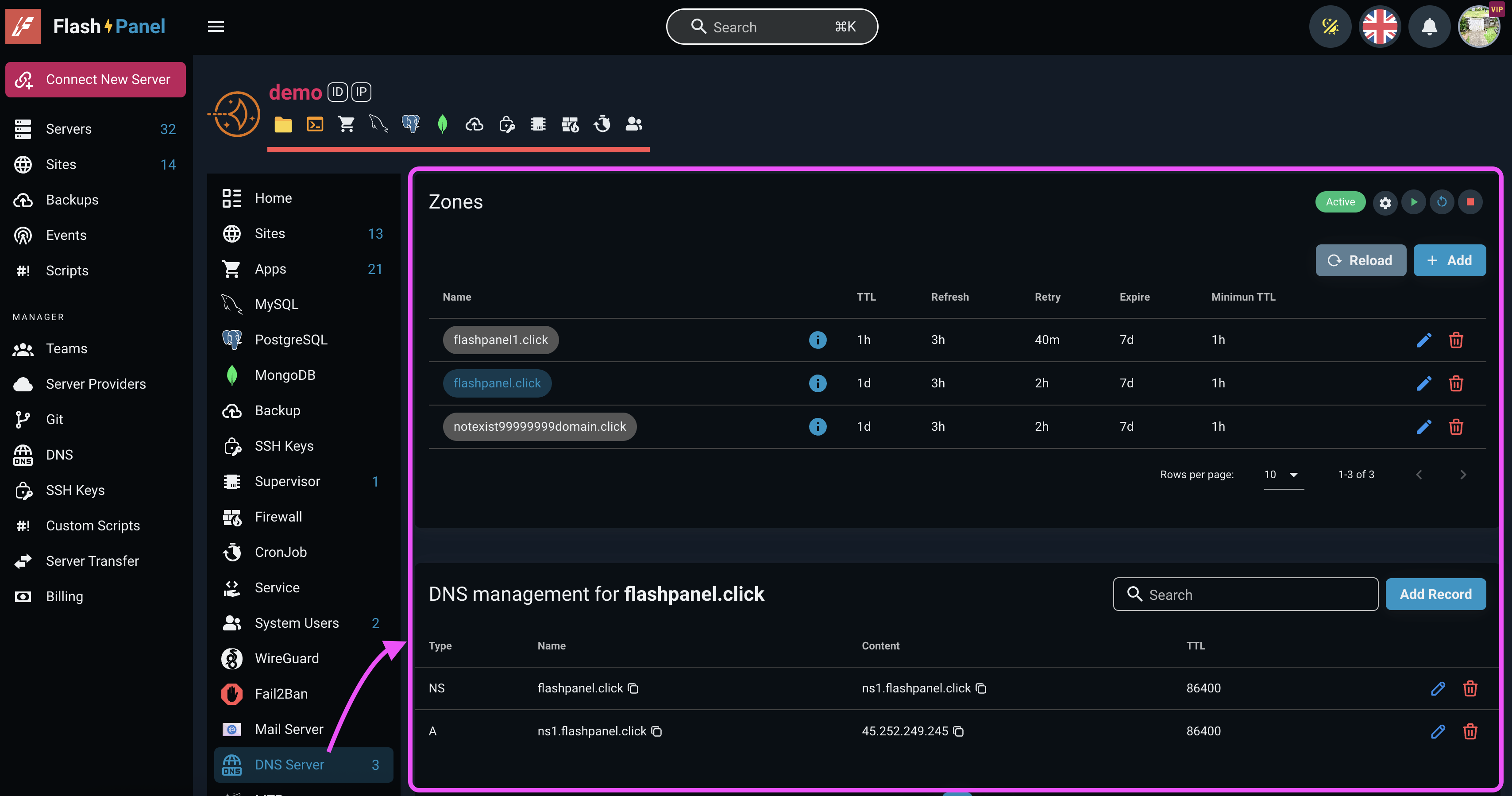 {{ data.name }} DNS Server Feature